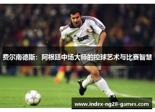 费尔南德斯：阿根廷中场大师的控球艺术与比赛智慧